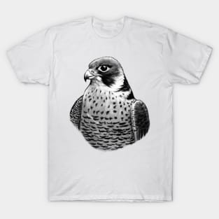 Hawk T-Shirt